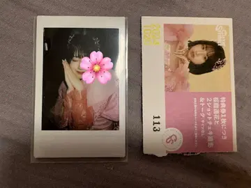 사쿠라바 하루카 폴라로이드