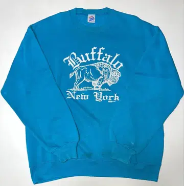 JERZEES Super Sweats L Buffalo New York