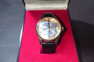 라도 골든 호스 워치