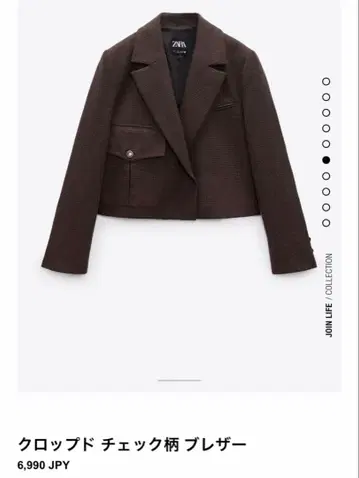 ZARA 크롭 체크 무늬 블레이저