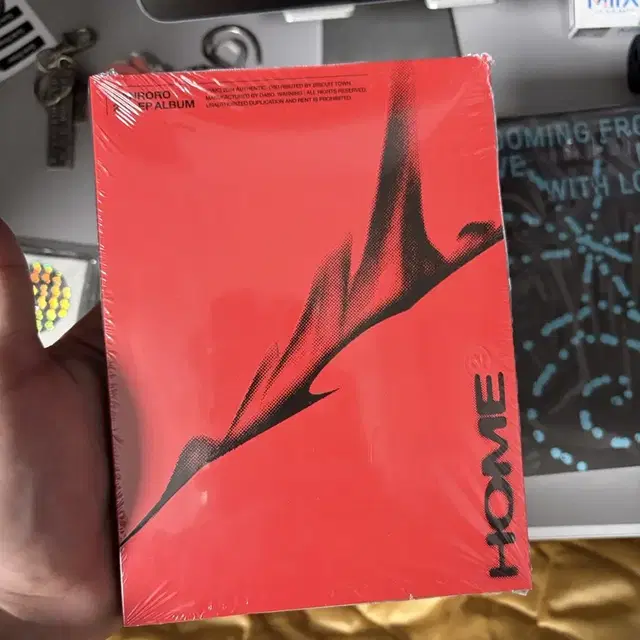 한로로 집 미개봉 앨범