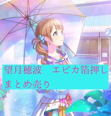 모치즈키 호나미 에피카 금박 묶음 판매