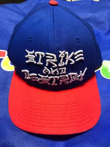 구하기 어려움  레어 NIKE SB 캡 STRIKE 콜라보 스케이트보드