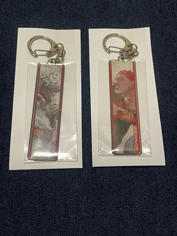 히로아카 원화전 엔데버 다비 토도로키가 메탈 키링