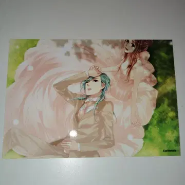 Starry Sky 스타스카 AGF 한정판 브로마이드 코타로