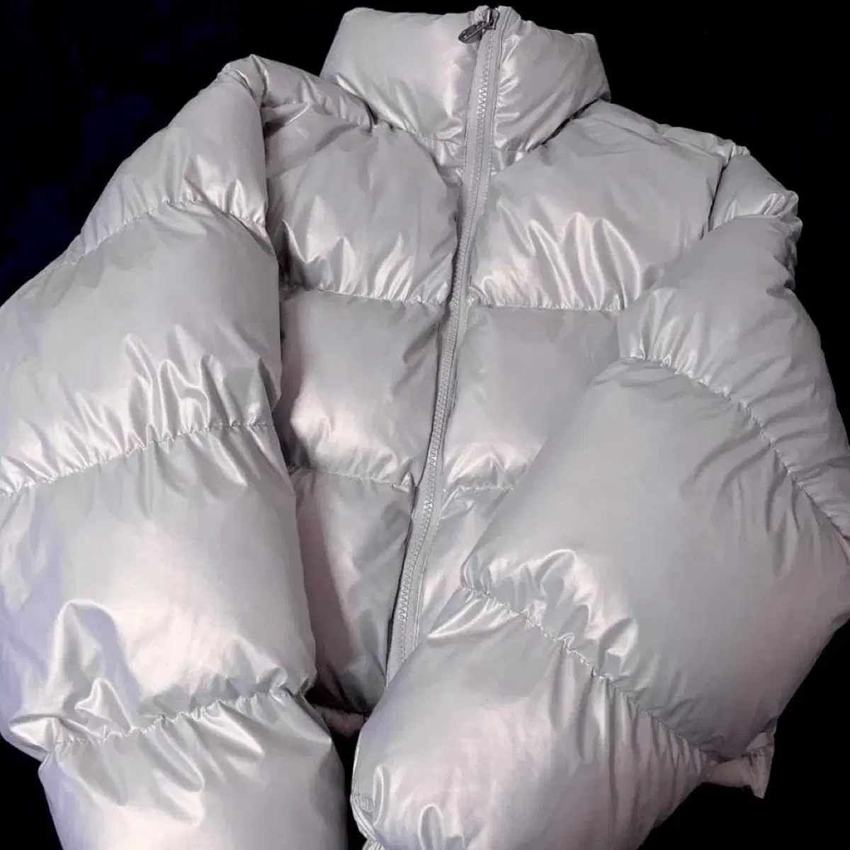 [Free] Bitter Cells Padded Glossy Crop Puffer Padding Shiny Padding (Silver)