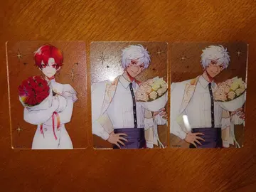 템페스트 마녀 텐마녀 클리어 카드 아나스타샤 젠