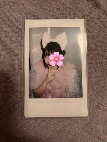 사쿠라바 하루카 폴라로이드 대혜택회