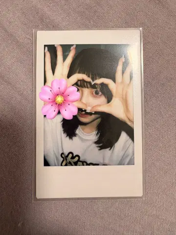 사쿠라바 하루카 폴라로이드 대혜택회