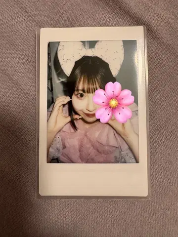 사쿠라바 하루카 폴라로이드 대혜택회