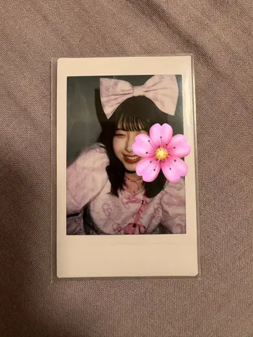 사쿠라바 하루카 폴라로이드 대혜택회