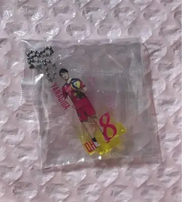 야나기타 마사히로 베어 가챠 아크릴 스탠드