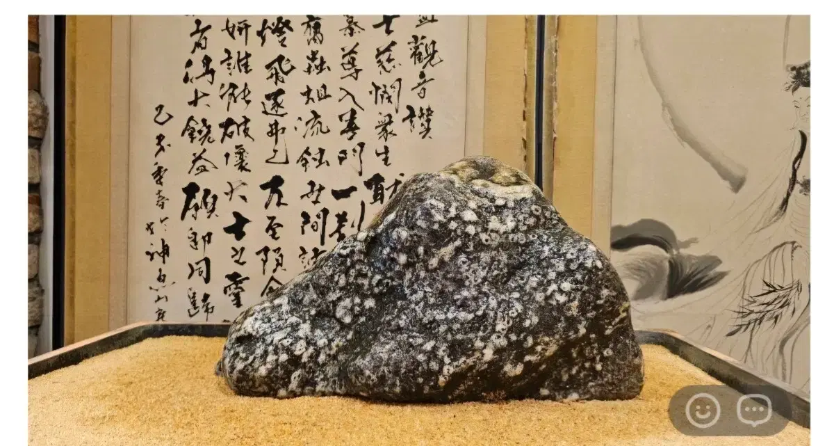 Chief. Misari Leopard Print. (White Plum Blossom Pattern) 44/27/22