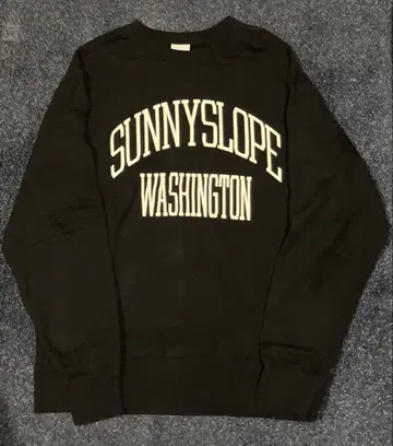 B.C STOCK 구매 Champion 로고 맨투맨