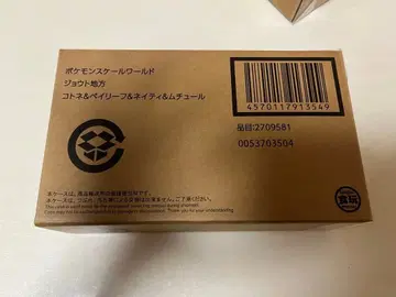 스케일 월드 코토네 베이리프 무츄르