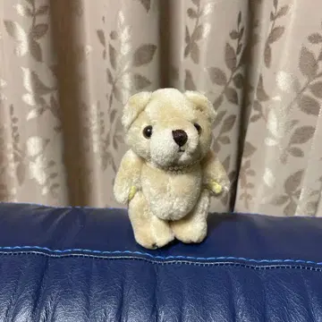 크림색 곰 모양 봉제 인형