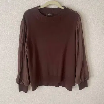 ReFLEcT 브라운 상의