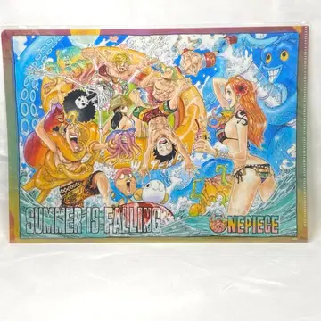 원피스 A4 클리어 파일