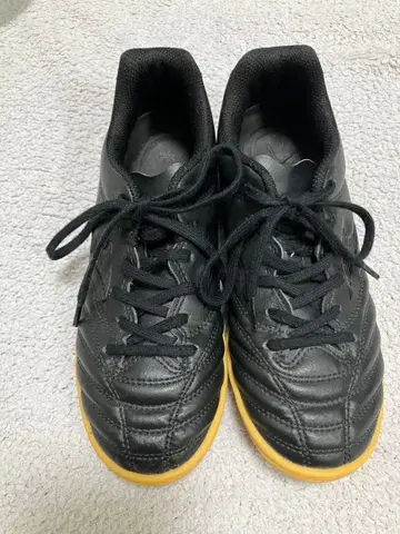 미즈노 풋살, 축구화 실내용