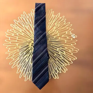 폴스미스 / 넥타이