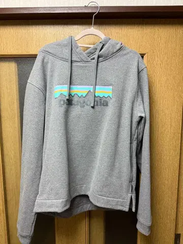 Patagonia 그레이 후드티 산 디자인