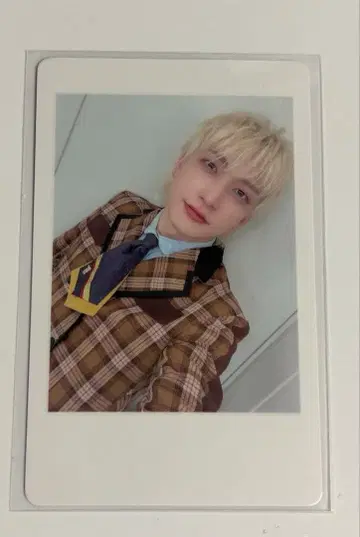 팬더드래곤 요우타 하피카