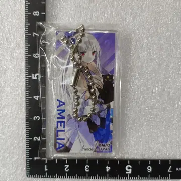 암살자인 나의 스탯이 용사보다 명백히 강한데 아멜리아 키링