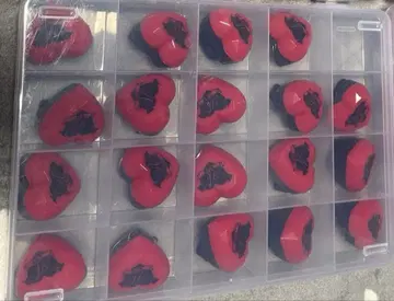 바우군 린 라이트 세트 링 라이트 19개