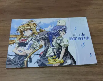 AIR 설정 자료집