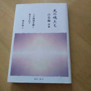 레어 인기 도서 빛의 영혼들 산악편