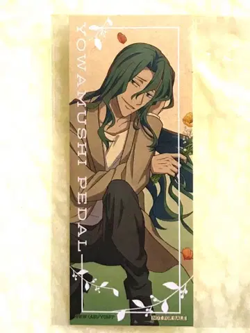 겁쟁이 페달 마키시마 유스케 나카가이 BIRTHDAY FLOWER3 혜택