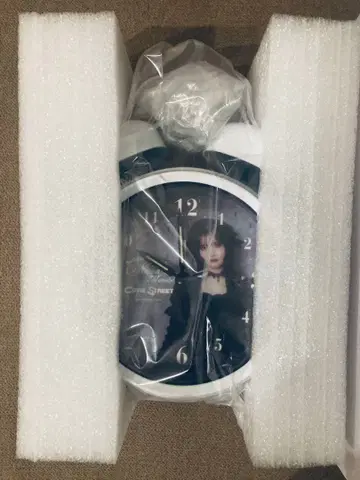 큐스트 마나베 나기사 생일 기념 스키 복권 B상 보이스 알람 시계