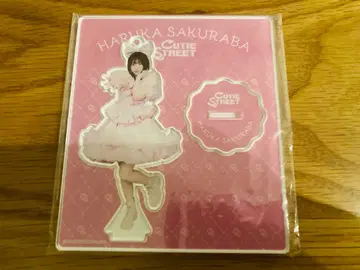 큐스트 멤버별 아크릴 스탠드 사쿠라바 하루카 3rd ANNIV