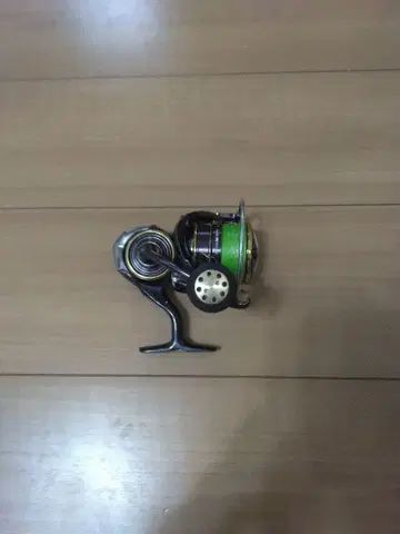 Daiwa 21 CALDIA 스피닝 릴