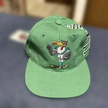 베르디 J.LEAGUE 공식 라이선스 캡 그린