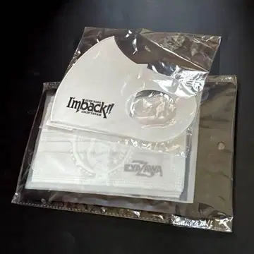 야자와 에이요시 패션 마스크 부직포 마스크