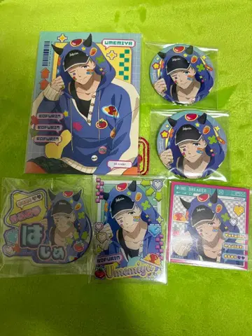 WIND BREAKER 윈브레 AGF 데코 후드티 우메미야