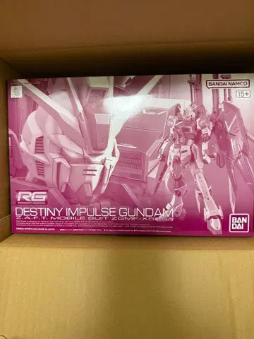 RG 데스티니 임펄스 건담