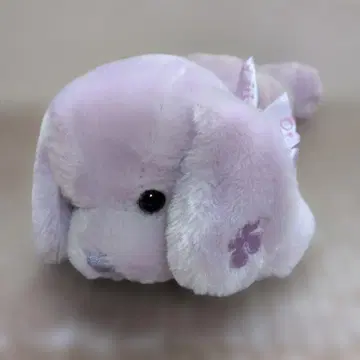봉제 인형 강아지 엘르 플래닝 퍼플 보라색