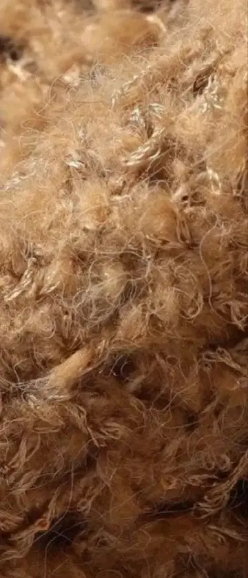 택 포함 ships quaranciel 스팽글 크루넥 돌먼 니트