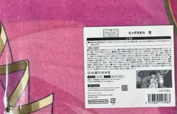 아이나나 벌스데이 스토어 빅 타월 모모 버스트