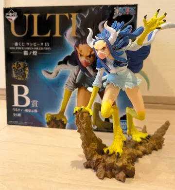 혼고시조 우르티 B상