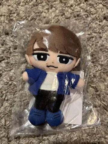 와타나베 쇼타 치루누이 새상품