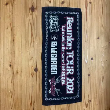 Reunion TOUR 2021 타월