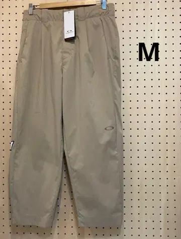 남성용 알펜 스포츠데포 한정판 앵클 기장 팬츠 M (FOA405360)