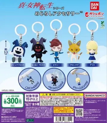 새상품 진 여신전생 시리즈 메지루시 액세서리 전 5종 컴프 세트