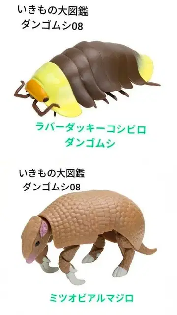 생물대도감 러버 덕키 코시비로 단고무시 미츠오비 알마지로