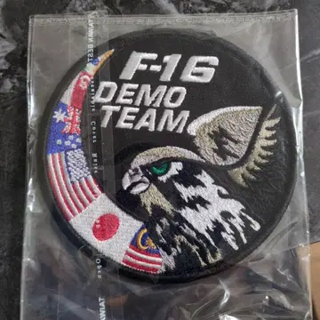 F16 데모팀 와펜