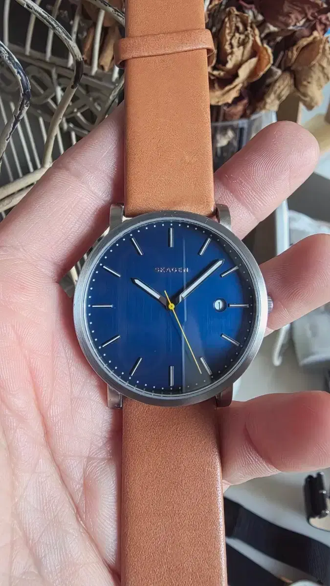 Skagen Leather Watch Navy/Brown Men's Leather Watch