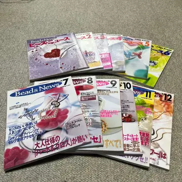 [ 비즈 뉴스 ] 12권